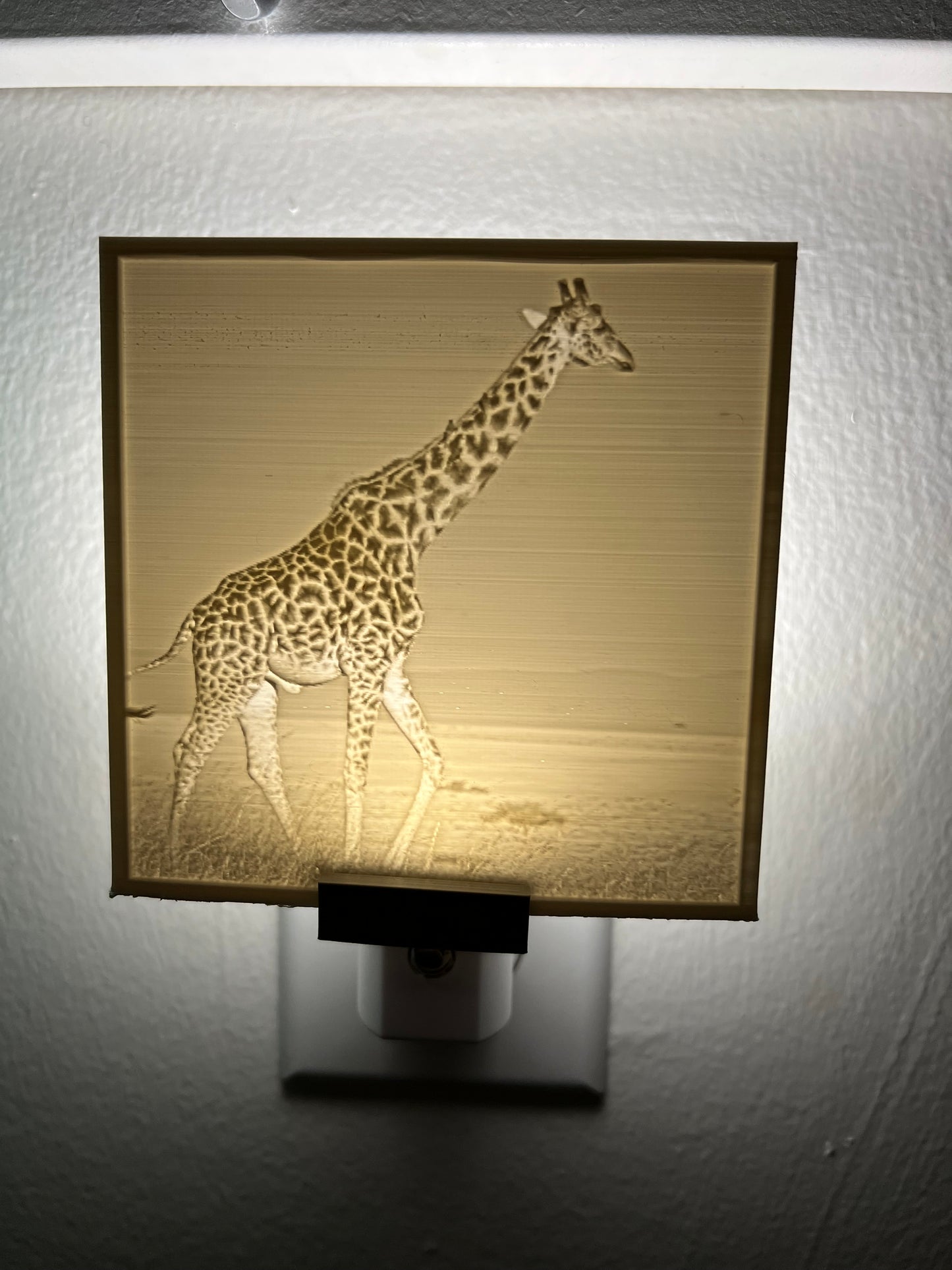 Photo Nightlight